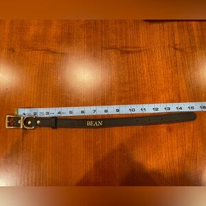 NWT Personalized Dog Collar